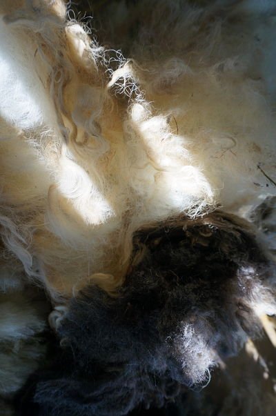 histoire-lanana-laines-naturelle-produits-cocooning-sac-couchage